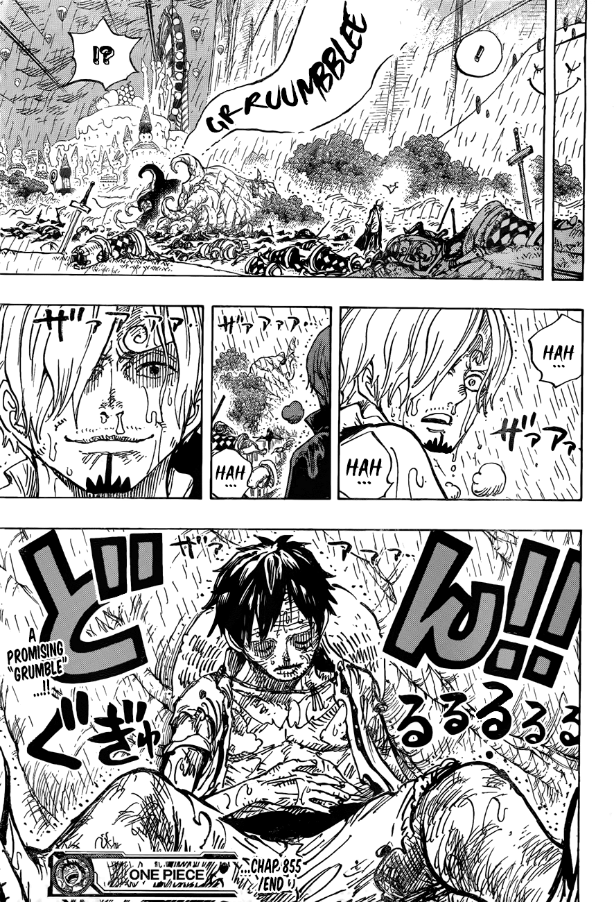 One Piece, Chapter 855 image 17